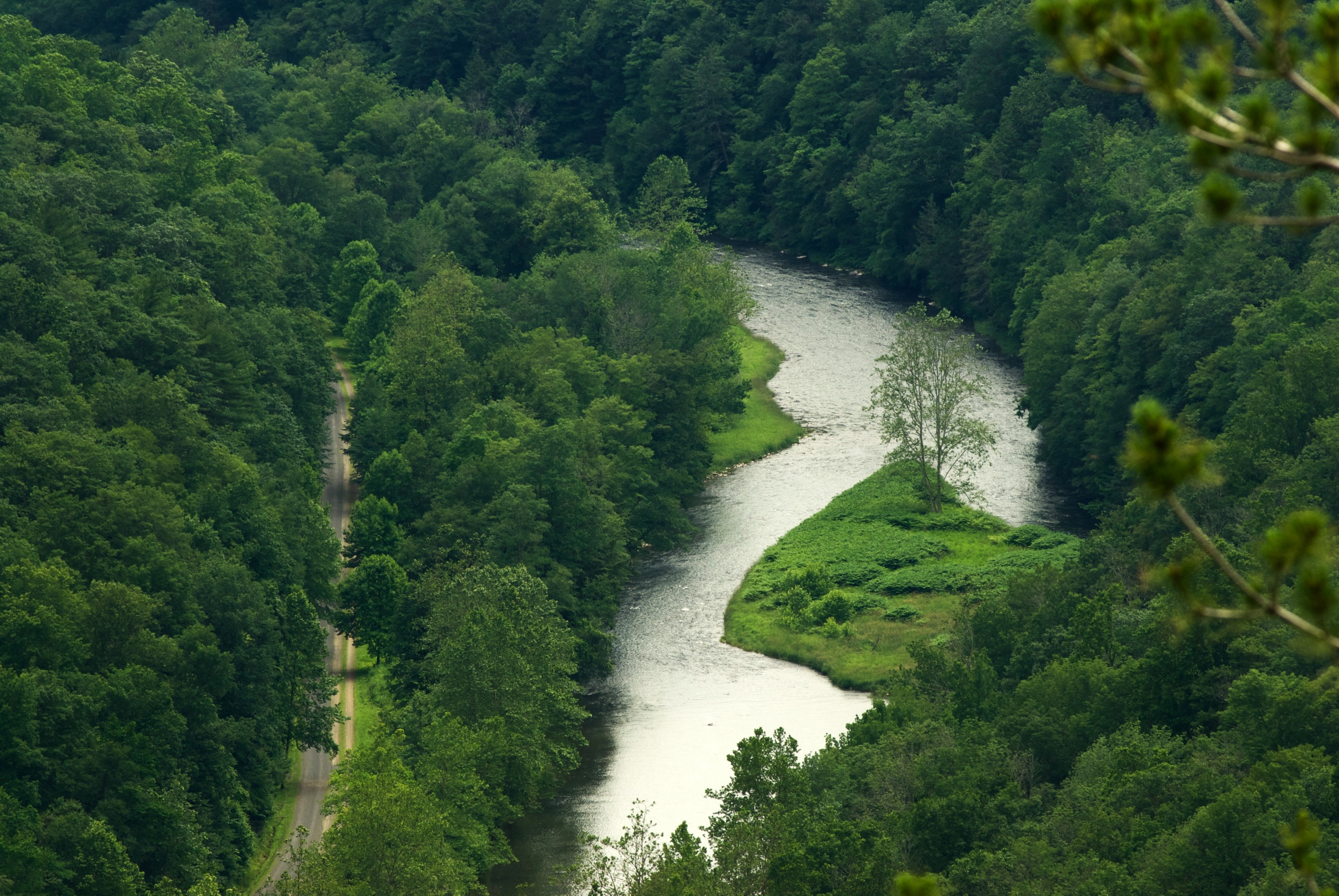 Photograph looking down into an area of PA Grand Canyon's valley.